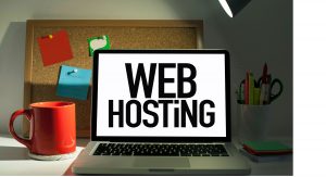 web-hosting-cpanel-plesk,